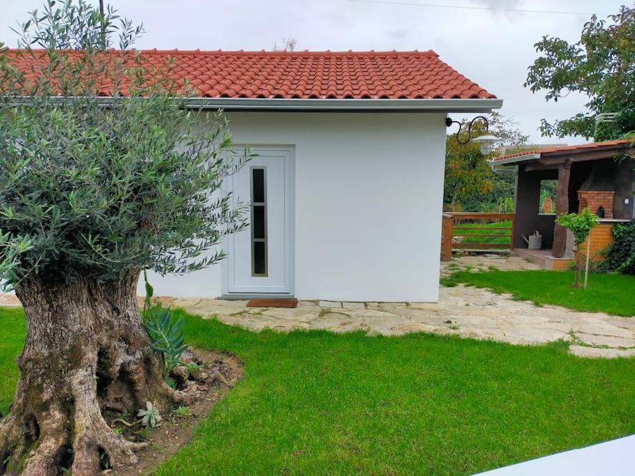 Villa Casinha Do Rio Soure Exterior foto